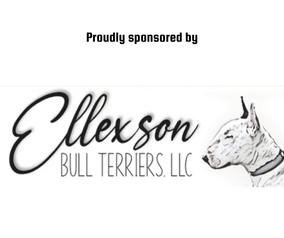 Sponsors
